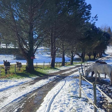 Domaine Le Lanis "Cabane De Pauline" Saint-Girons  Esterno foto