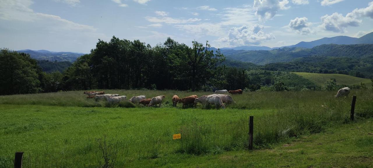 Domaine Le Lanis "Cabane De Pauline" Saint-Girons  Esterno foto