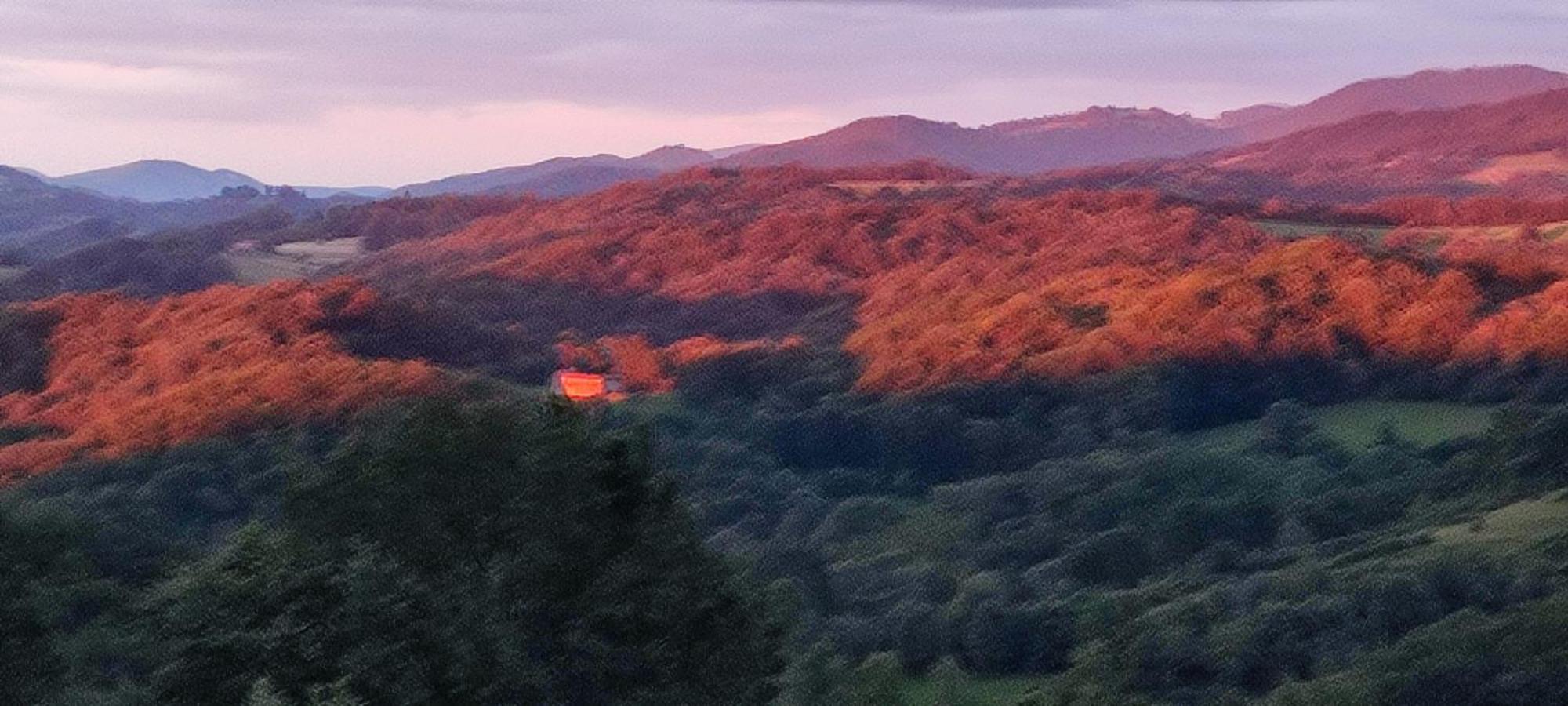 Domaine Le Lanis "Cabane De Pauline" Saint-Girons  Esterno foto