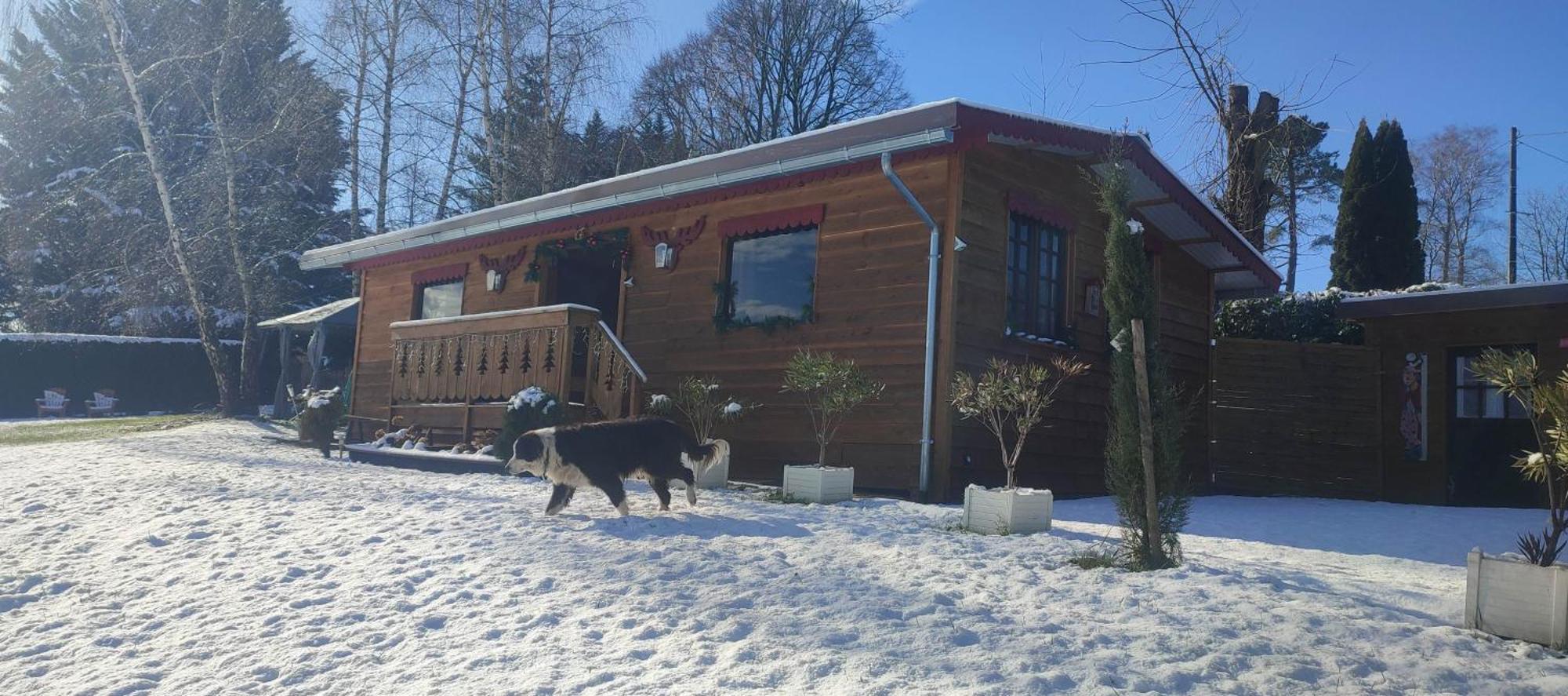 Domaine Le Lanis "Cabane De Pauline" Saint-Girons  Esterno foto