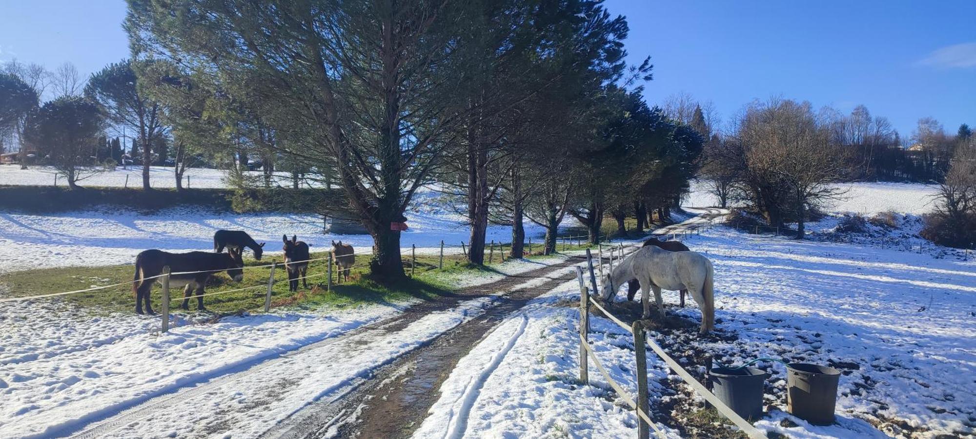 Domaine Le Lanis "Cabane De Pauline" Saint-Girons  Esterno foto